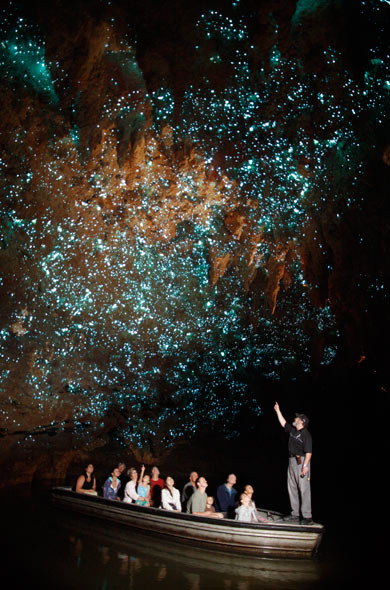 Waitomo Glowworm Caves - jaskinie świecących robaczków