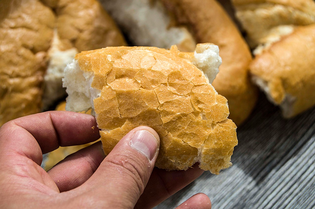 Jednoduchá zmes vody a starého chleba sa po niekoľkých dňoch mení na účinné prírodné hnojivo.