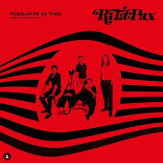 Paulina Przybysz: Kiedy się do czegoś zbliżę, budzi się we mnie duży zachwyt i nie hamuję entuzjazmu [PODCAST]