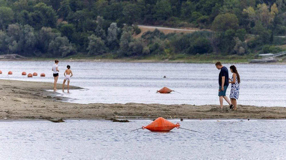 Retka prilika da se Dunav prepešači - prizor iz Novog Sada | Foto: REUTERS/Djordje Kojadinovic