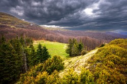 10-latka była zbyt zmęczona, by iść dalej w góry. Ojciec zostawił ją na szlaku