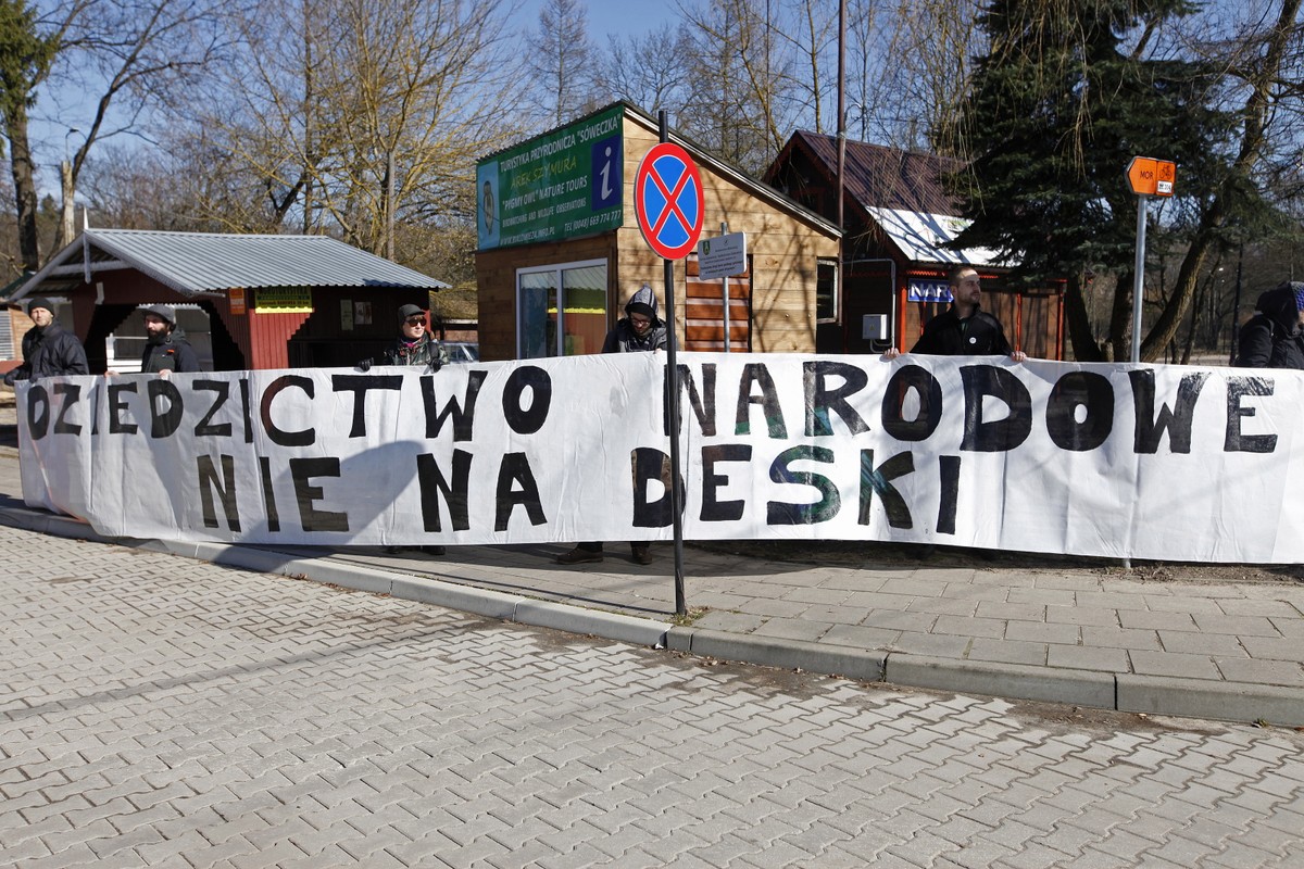 Plan Urządzenia Lasu w nadleśnictwie Białowieża zakłada zwiększenie pozyskania drewna w tym nadleśnictwie