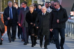 PiS z największym elektoratem, 'sufit' Hołowni. A co z KO? SONDAŻ