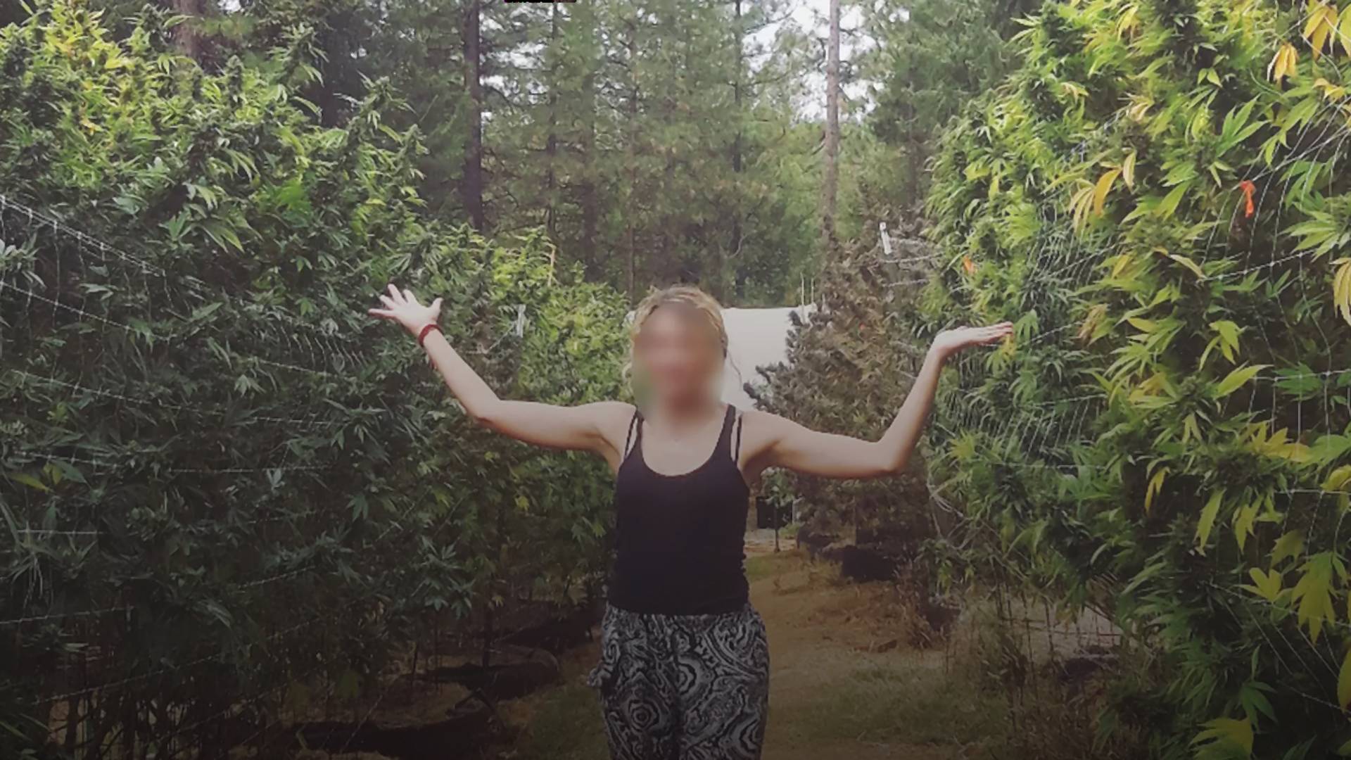 "Fél évet húztam le egy illegális kannabisz farmon" - kőkemény tapasztalatairól mesélt egy lány, aki Kaliforniában dolgozott