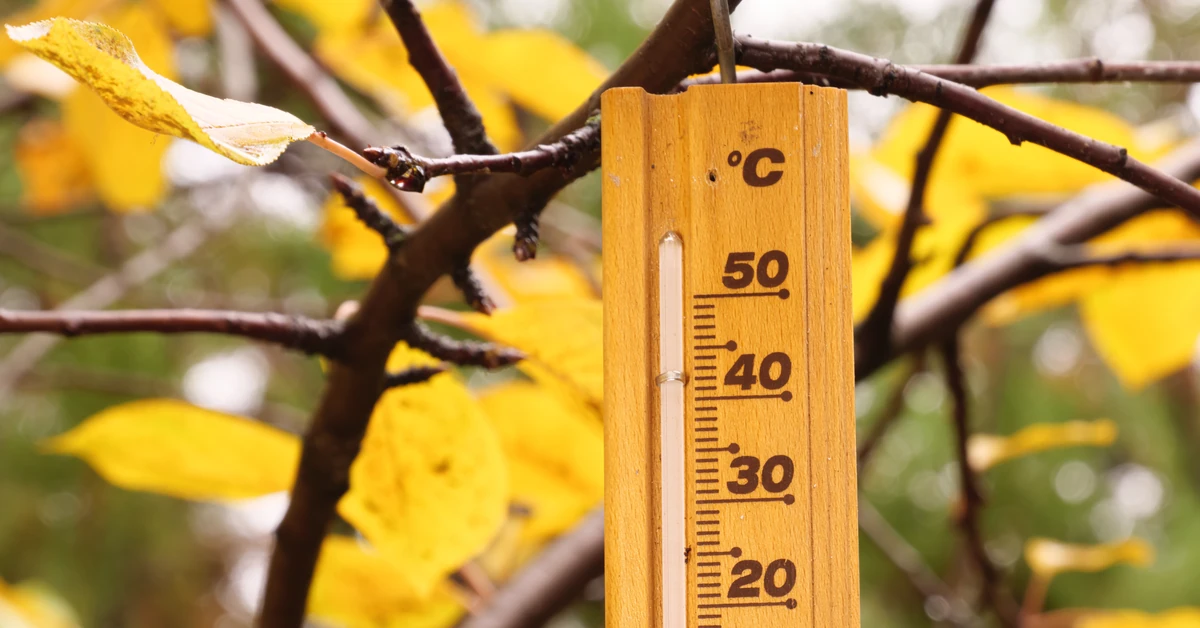 Czekają nas rekordowe anomalie pogodowe i termiczne w listopadzie! Ciepłe powietrze ze strefy zwrotnikowej w drodze. Kiedy spodziewać się ocieplenia?