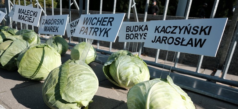"Zdrajcy Polskiej Wsi". Happening z 356 główkami kapusty przed Sejmem