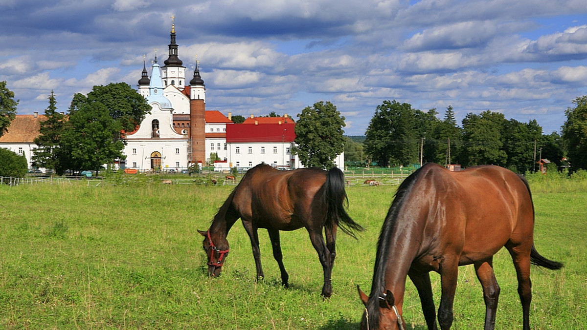 Rośnie liczba turystów odwiedzających województwo podlaskie - uważają przedstawiciele organizacji turystycznych z regionu. Zwracają też uwagę, że coraz częściej wybierają oni inne atrakcje, niż np. znana w kraju i za granicą Puszcza Białowieska.