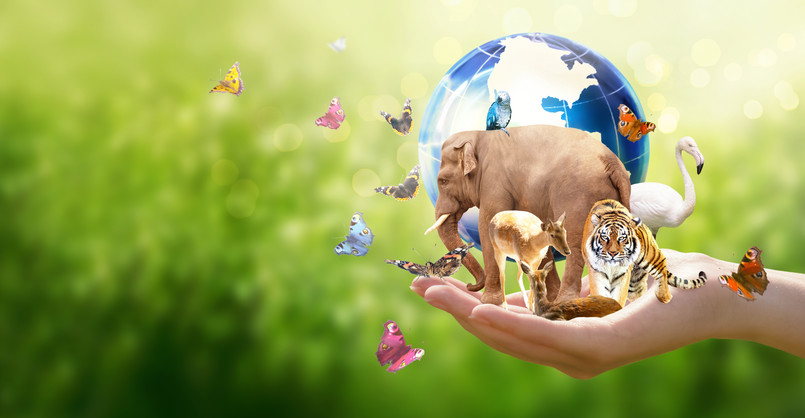 Biologia natura quiz Earth,Day,Or,World,Animal,Day,Concept.,Save,Our,Planet,