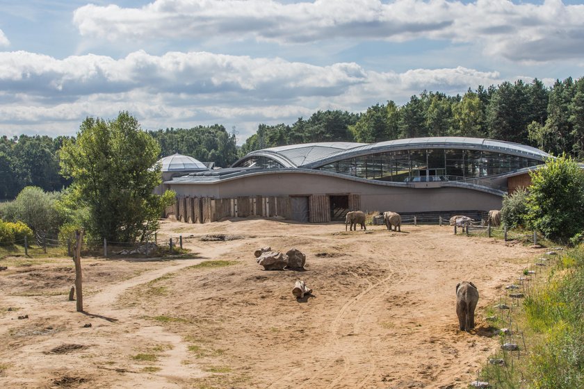 Wielkie plany poznańskiego ogrodu zoologicznego na 2017 rok