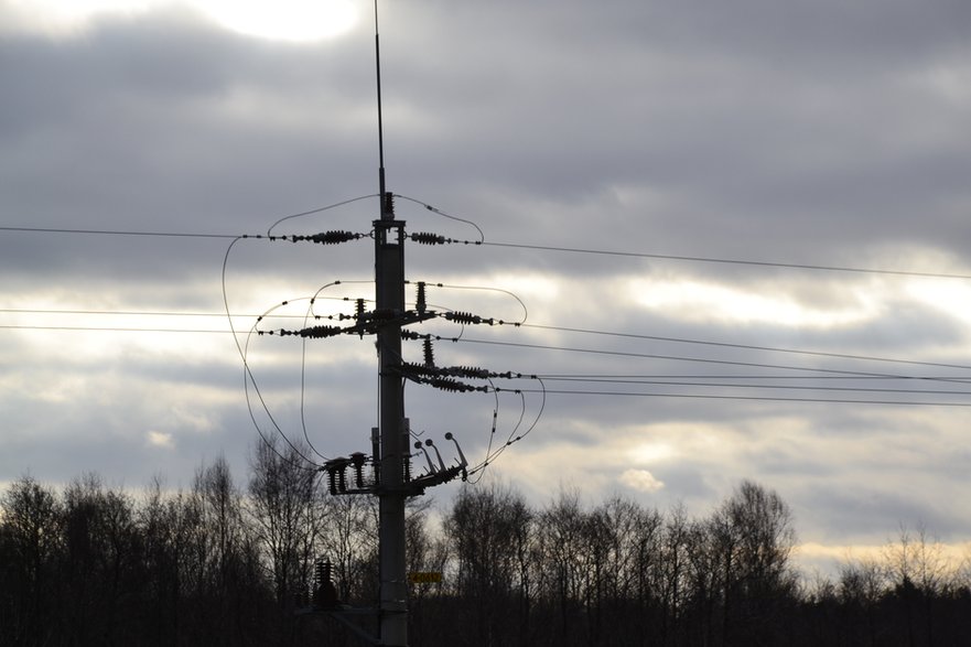 Aleksandrów Łódzki: problemy z usunięciem awarii energetycznej. A w tle... konie i owce