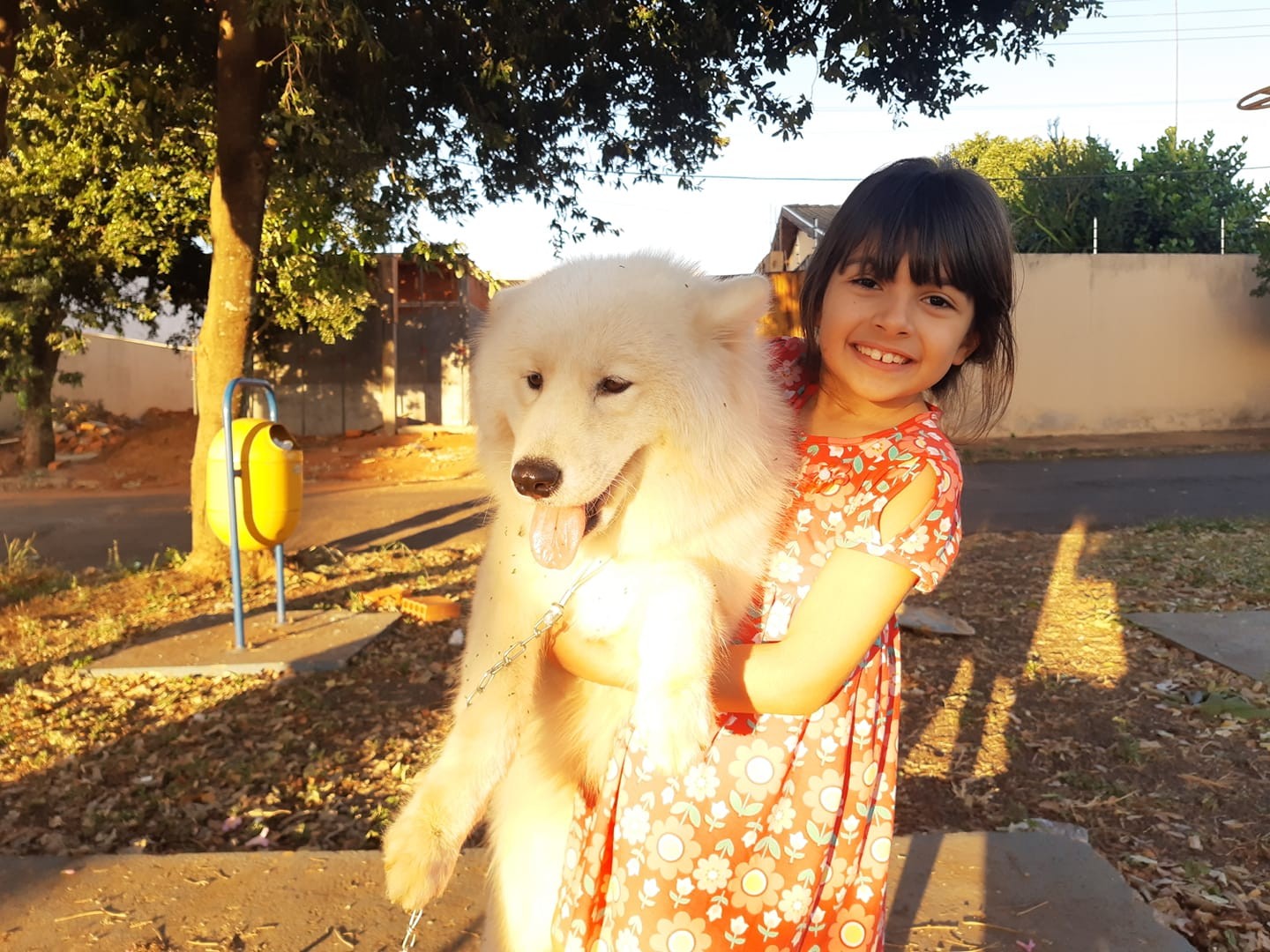 Otecko si svoju zosnulú dcéru uctil v srdcervúcom príspevku.