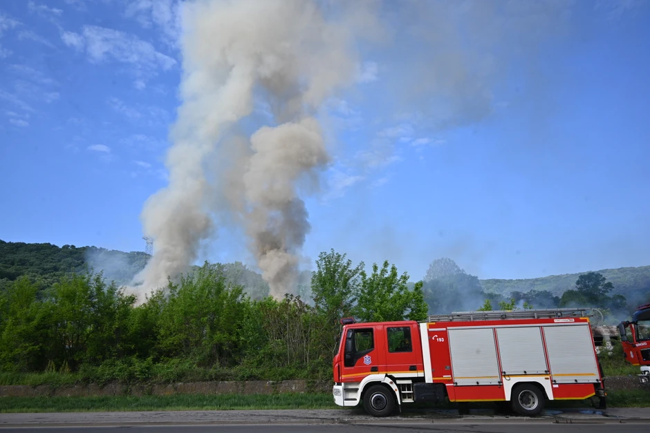 Požar na Košutnjaku