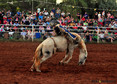 Wilmington Rodeo