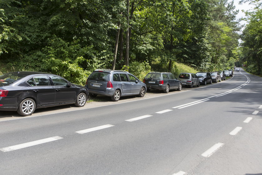 Samochody stojące przy ulicy