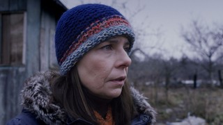 Eksmisja, tułaczka i pies. 'Pewnego razu w listopadzie' w kinach