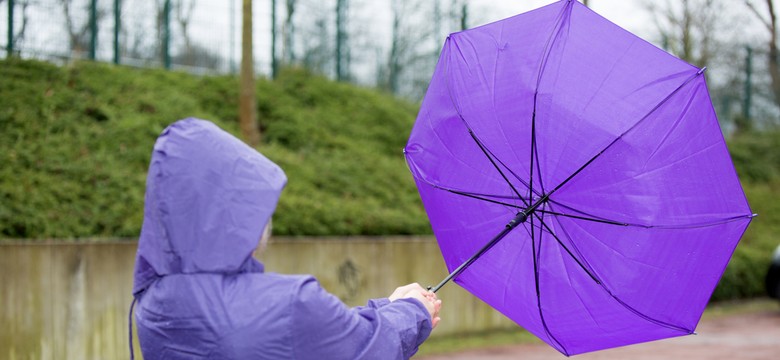 IMGW ostrzega przed silnym wiatrem. Sprwdź, które województwa są zagrożone