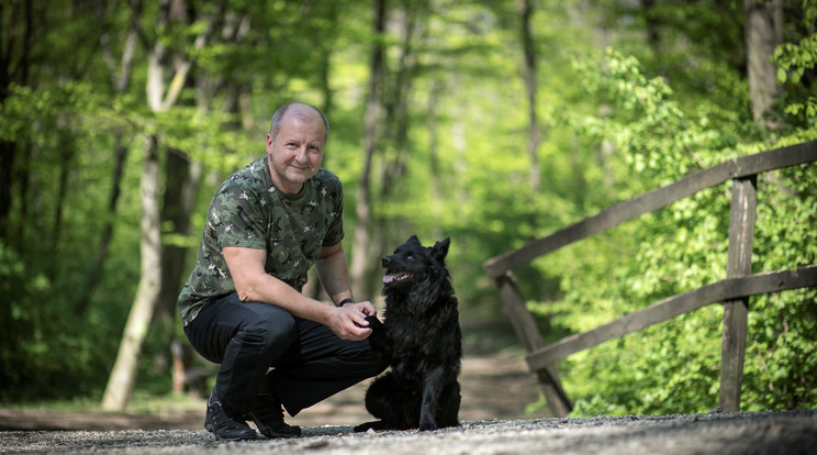 Simicskó István négylábú barátja Picur, a mudi