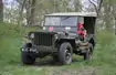 Willys MB - Na wszystkich frontach