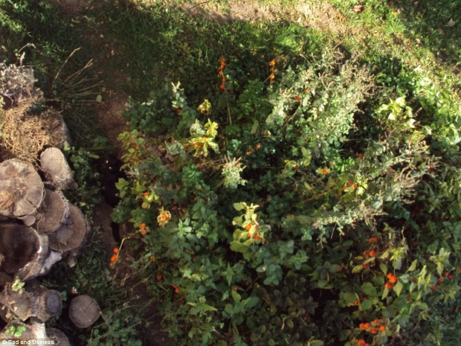 Kliknite za uvećanje (+)