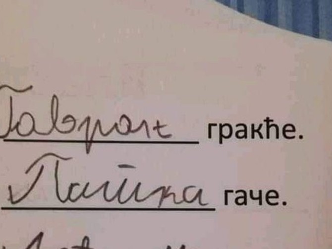 Domaći zadatak jednog đaka nasmejao je sve