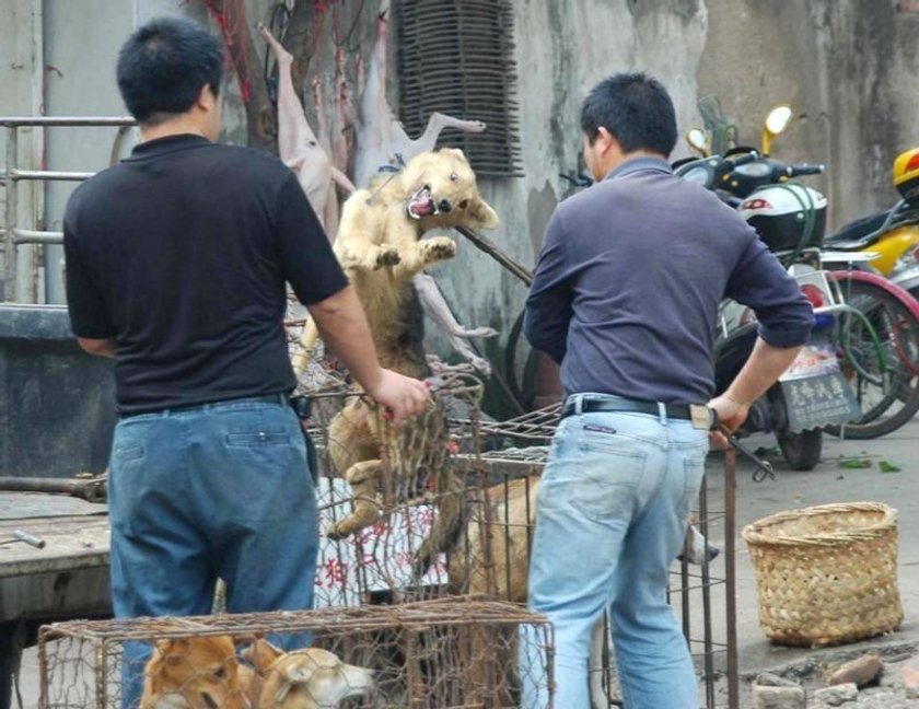 YULIN, CHINA