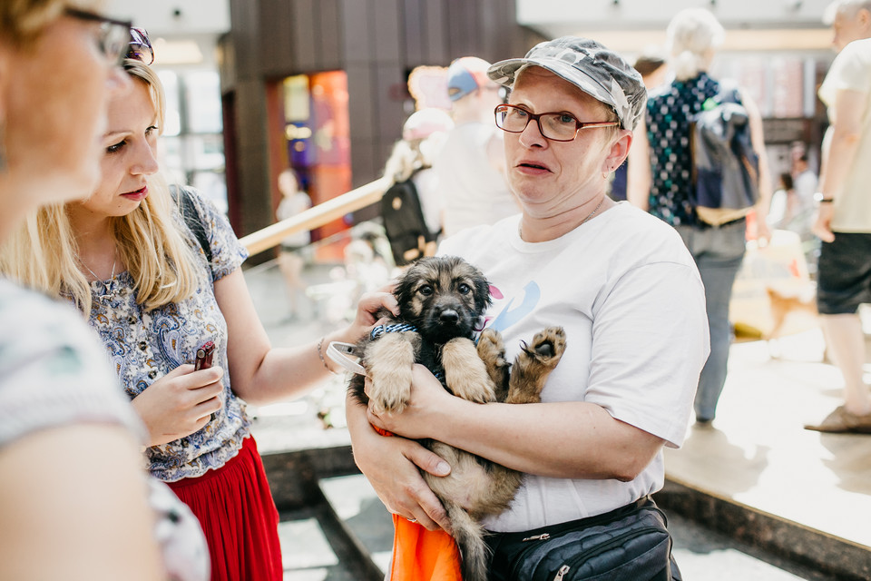 "Sekretne życie zwierzaków domowych 2": ogólnopolska trasa z bohaterami filmu w Krakowie / Izabela Sambor z Dog Rescue i Leoś