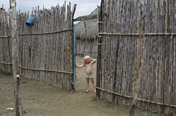 PANAMA-ALBINOS/WIDERIMAGE