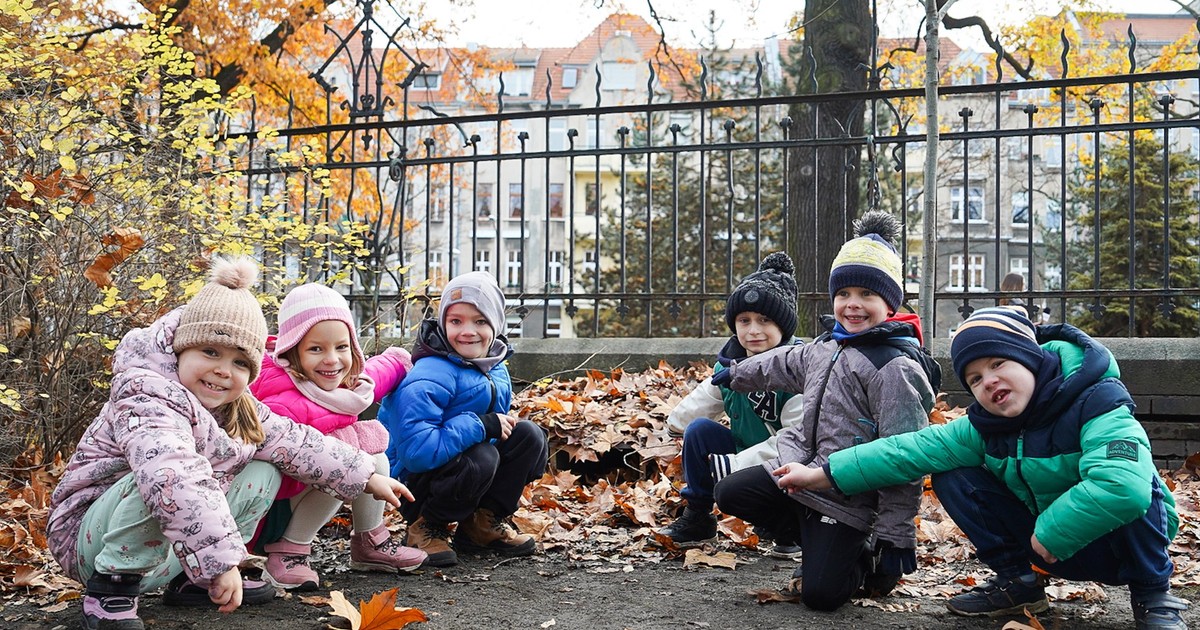 Jesienne liście, czyli tak uczą w szkołach ekologii