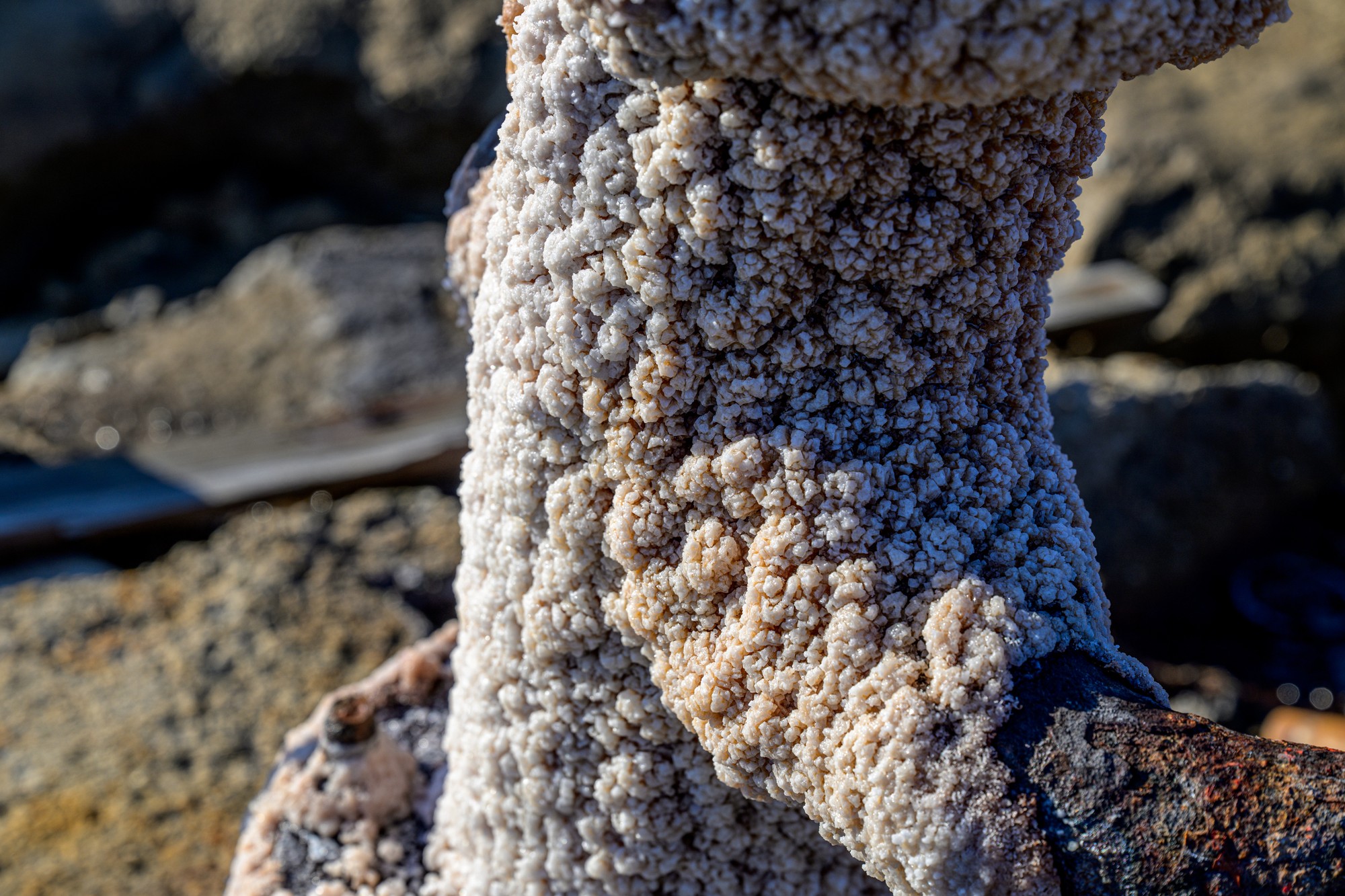 Prešov vyhlási pre poddolované územie Solivary mimoriadnu situáciu. 