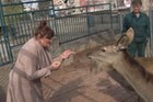 OVO JOŠ NIJE VIĐENO U Zoološkom vrtu sa Nadom Macurom: Svi je gledali, hranila je životinje, a onda je ušla u kavez sa NJIMA (VIDEO)