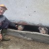 Domaćinstvo Boška Milovanovića na Maljenu