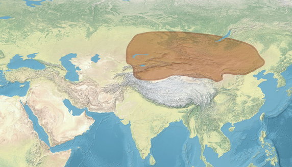 Konfederacja Xiongnu w II wieku p.n.e.