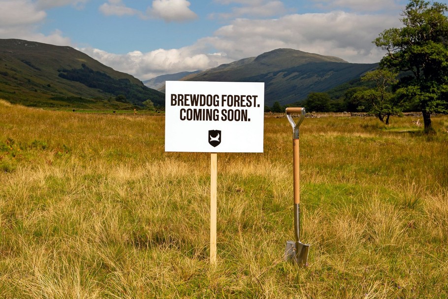 BrewDog Forest powstanie w Szkocji. Browar chce zasadzić milion drzew do 2022 r.