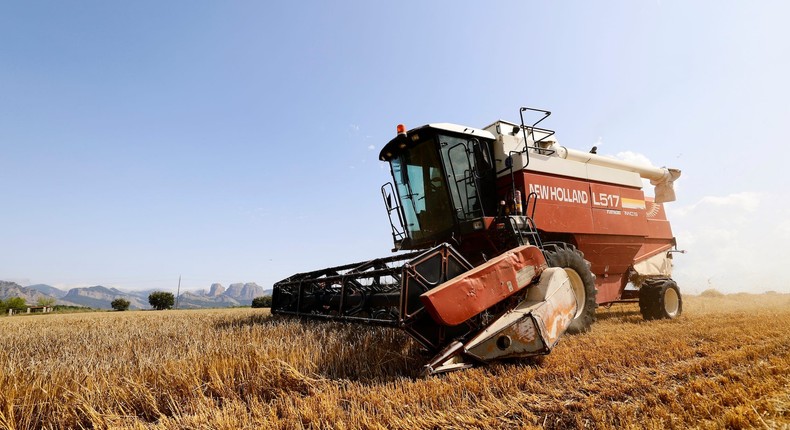 Food wars are a growing risk amid climate change and rising trade barriers, Olam Agri CEO Sunny Verghese said.Joan Cros/NurPhoto via Getty Images