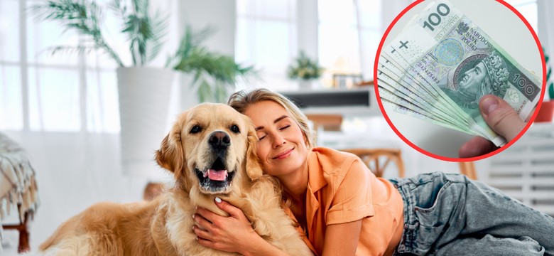 Dodatek emerytalny dla właścicieli psów. Wypłacają 124 zł więcej miesięcznie