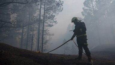 Strażacy kontrolują pożar lasów na Teneryfie