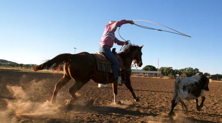 cowboy