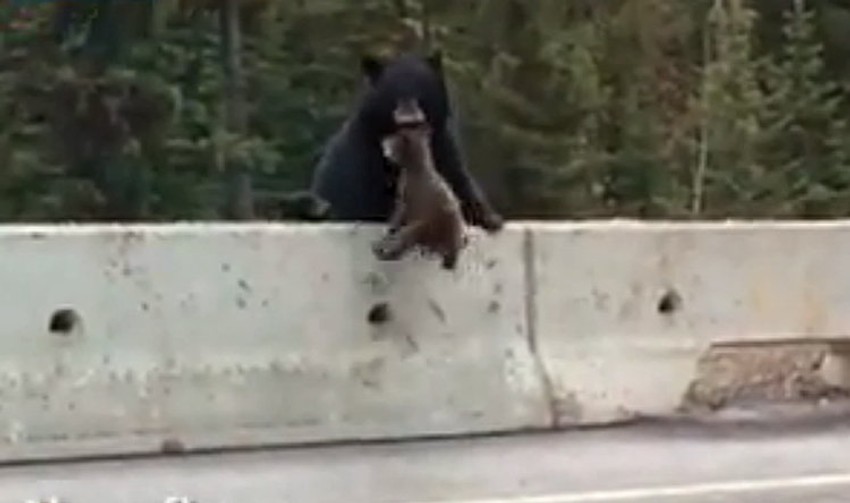 Operacija spasavanja