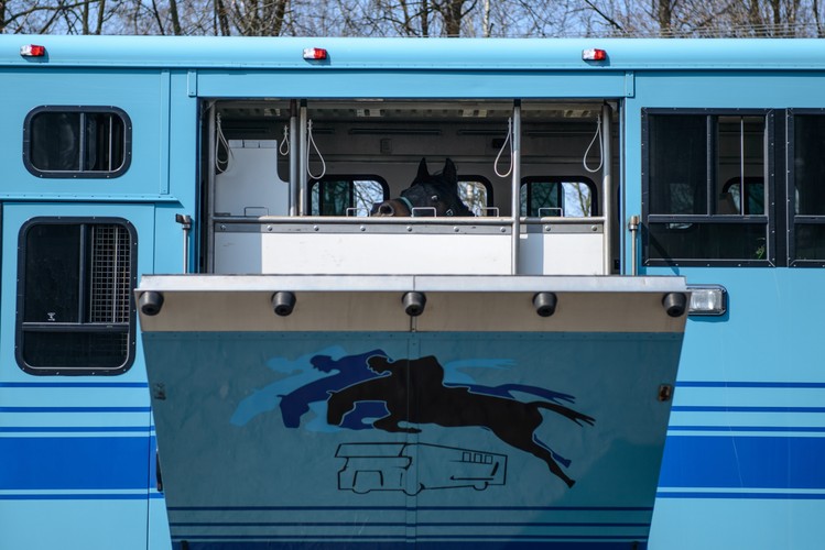 Ciężarówka do wywozu koni