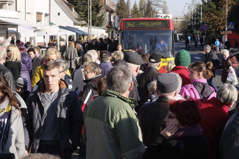 Lepiej wybrać komunikację miejską