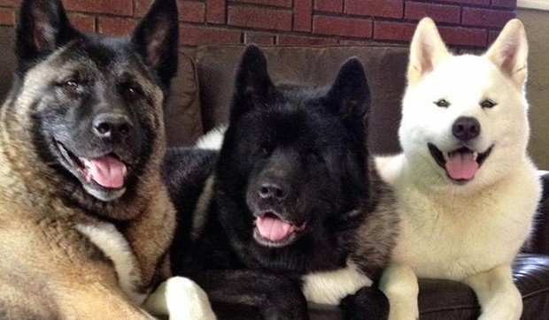 618000_psi-foto-facebook-jessica-leigh-vanhusen