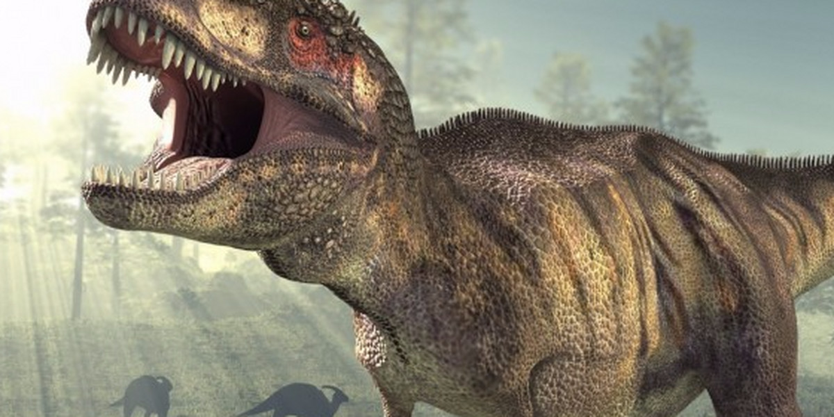Tyrannosaurus quickly grew from about the size of a horse to supersized monsters.