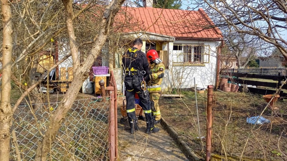 Akcja ratunkowa na ogródkach działkowych