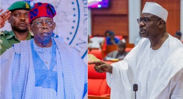 Sack more ministers, bring Ezekwesili, others for economic summit - Ndume to Tinubu