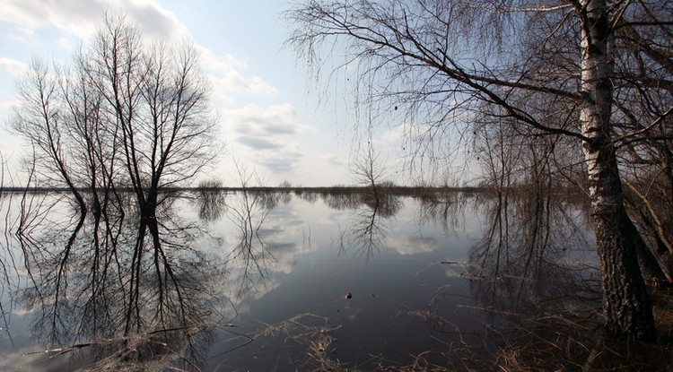 Veszélyes júniust jósolt az indiai próféta Illusztráció Fotó: Northfoto