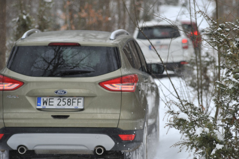 Toyota RAV4 kontra Ford Kuga i Subaru Forester: porównanie najnowszych SUV-ów na rynku