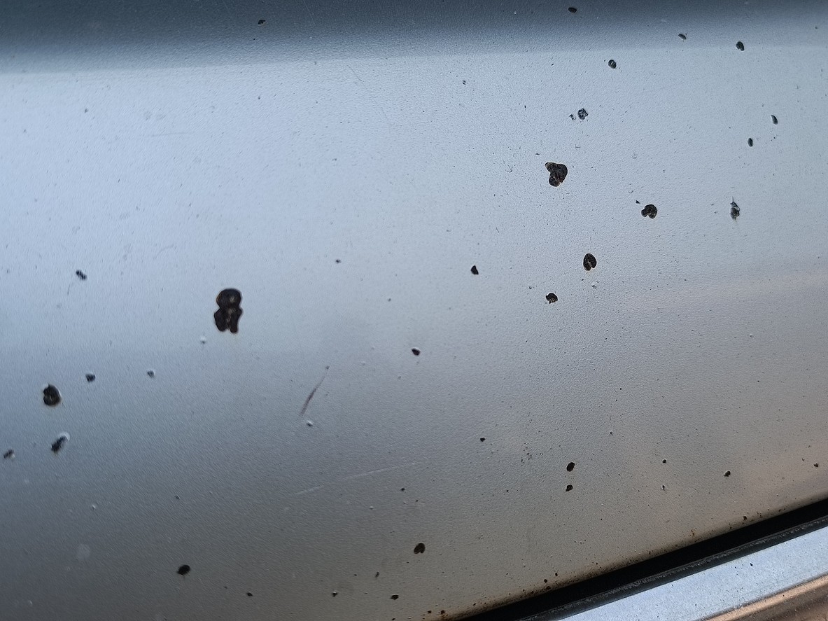 Početné odštiepky laku na kapote a zmatované kryty svetlometov naznačujú častú jazdu po diaľnici. Takéto stopy nezodpovedajú deklarovanému nízkemu nájazdu. 