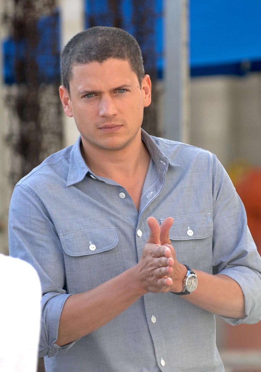 Wentworth Miller 