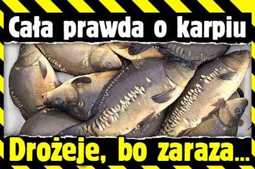 Cała prawda o karpiu. Drożeje, bo zaraza...