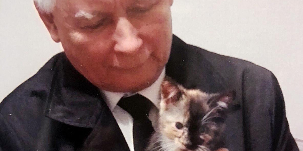 Jarosław Kaczyński ma nową kotkę?